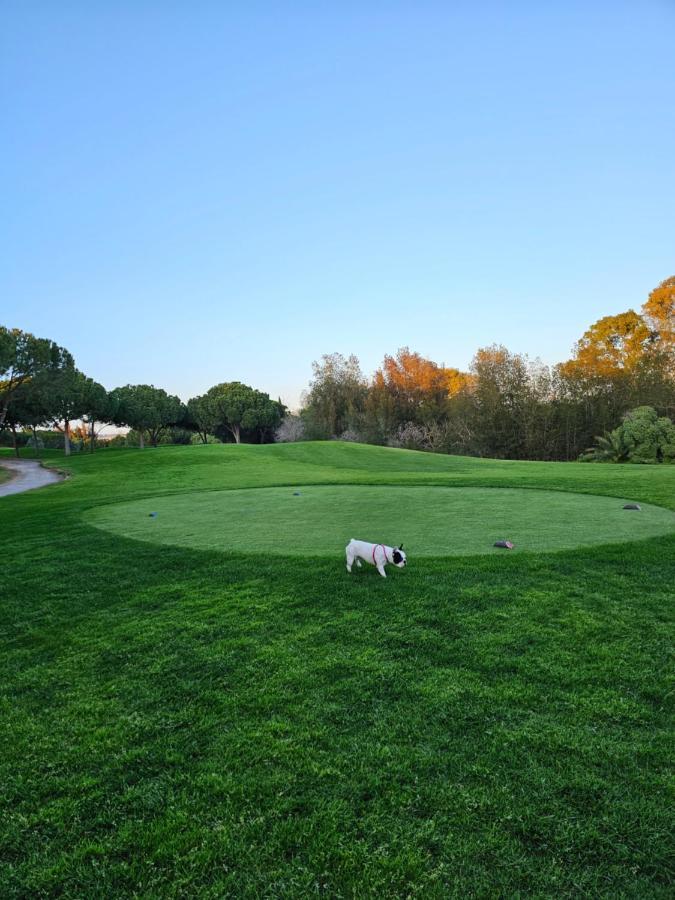 Citadela I, Golfe, Pool And Falesia Beach Vilamoura Zewnętrze zdjęcie